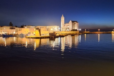 IMG-20241023-WA0045