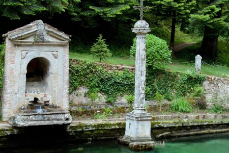 Immagine 2025-03-12 142826