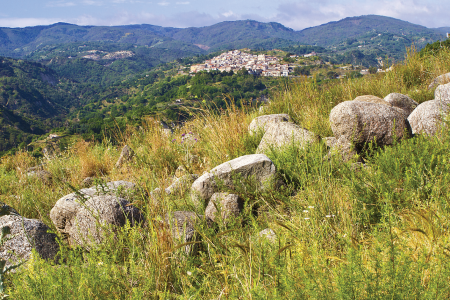panorama
